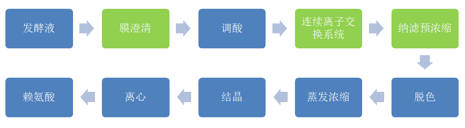 赖氨酸改良生产工艺 (2).jpg